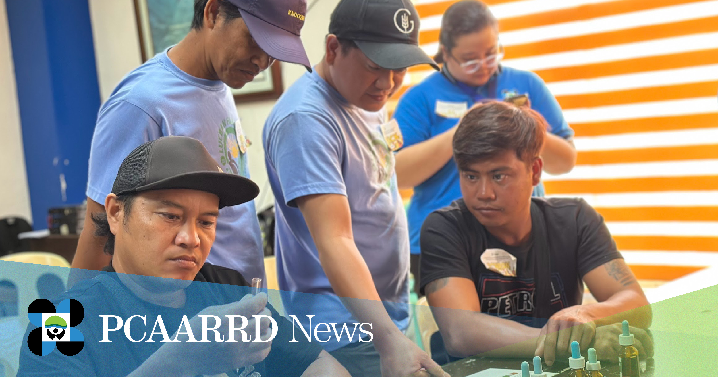 DOST-PCAARRD empowers Lucban farmers for market expansion with crop production training